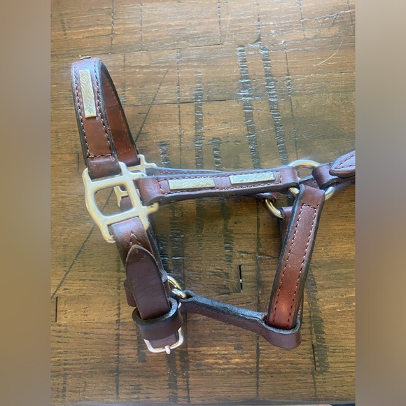 Vintage horse show halter (leather with sterling silver accents). Weanling size - Picture 2 of 12